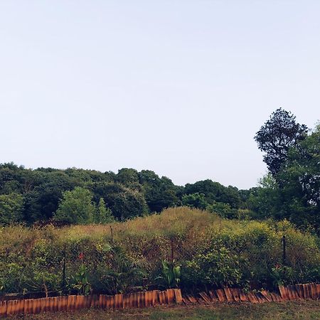 Laforesta By Mahabaleshwar Stay 外观 照片