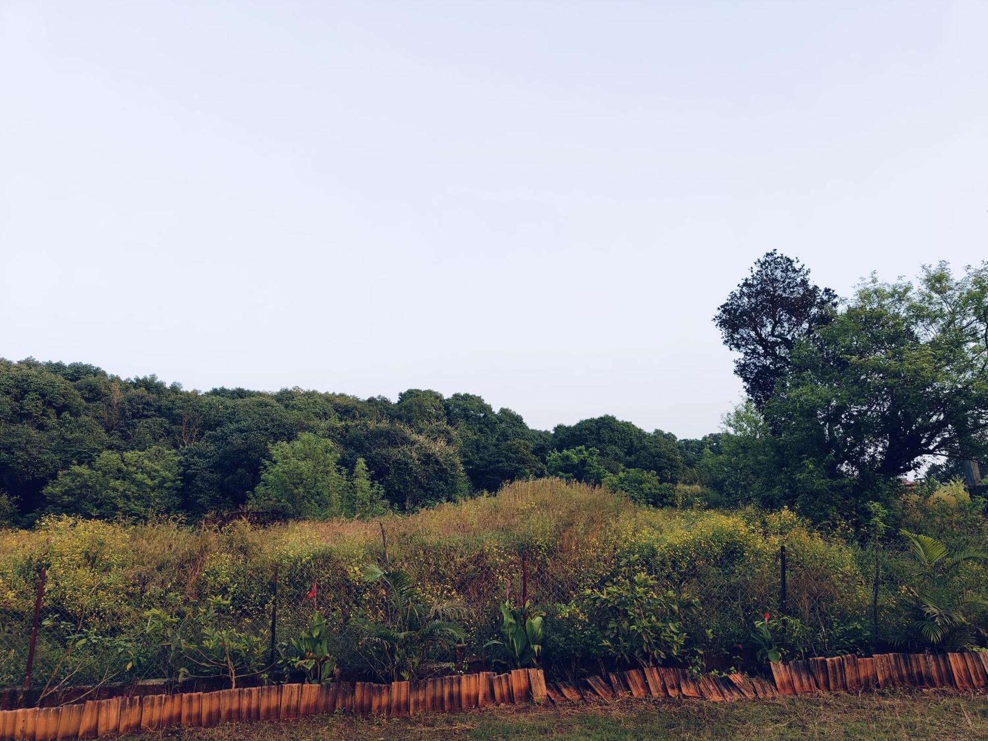 Laforesta By Mahabaleshwar Stay 外观 照片